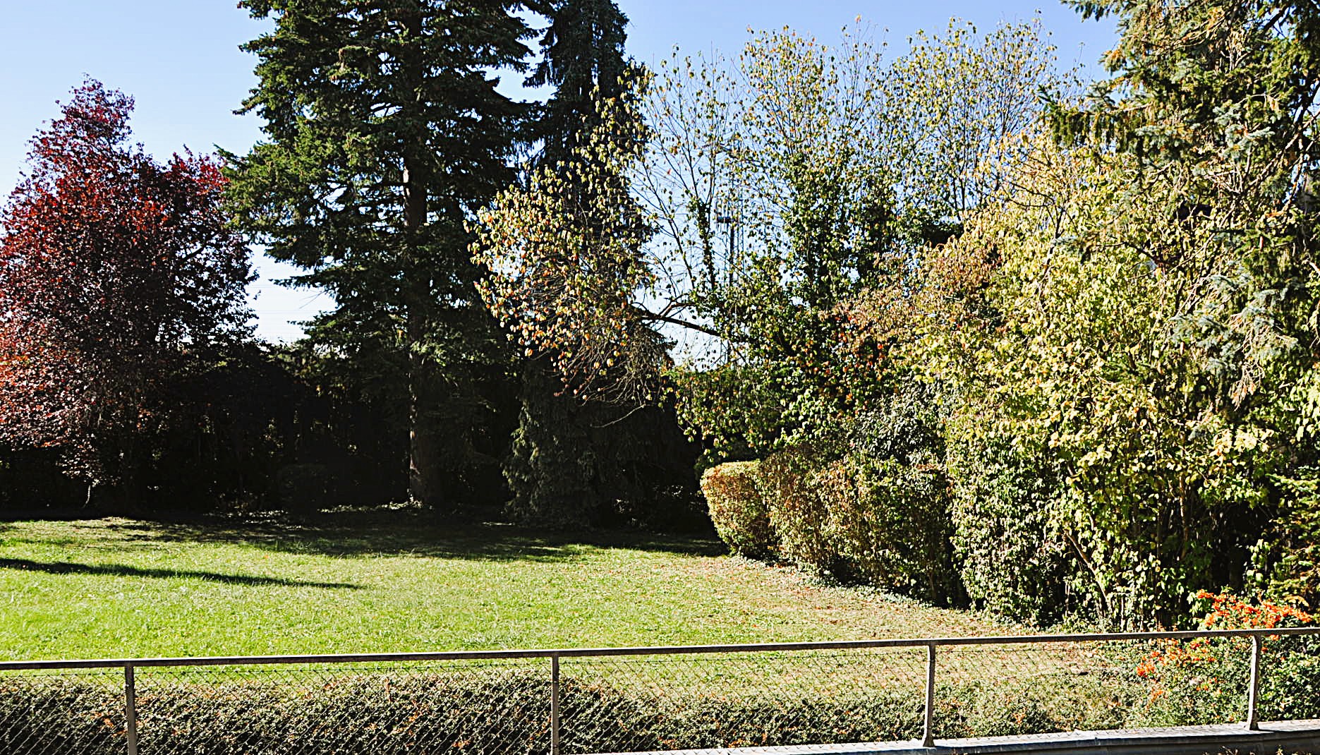 View from the balcony into the park