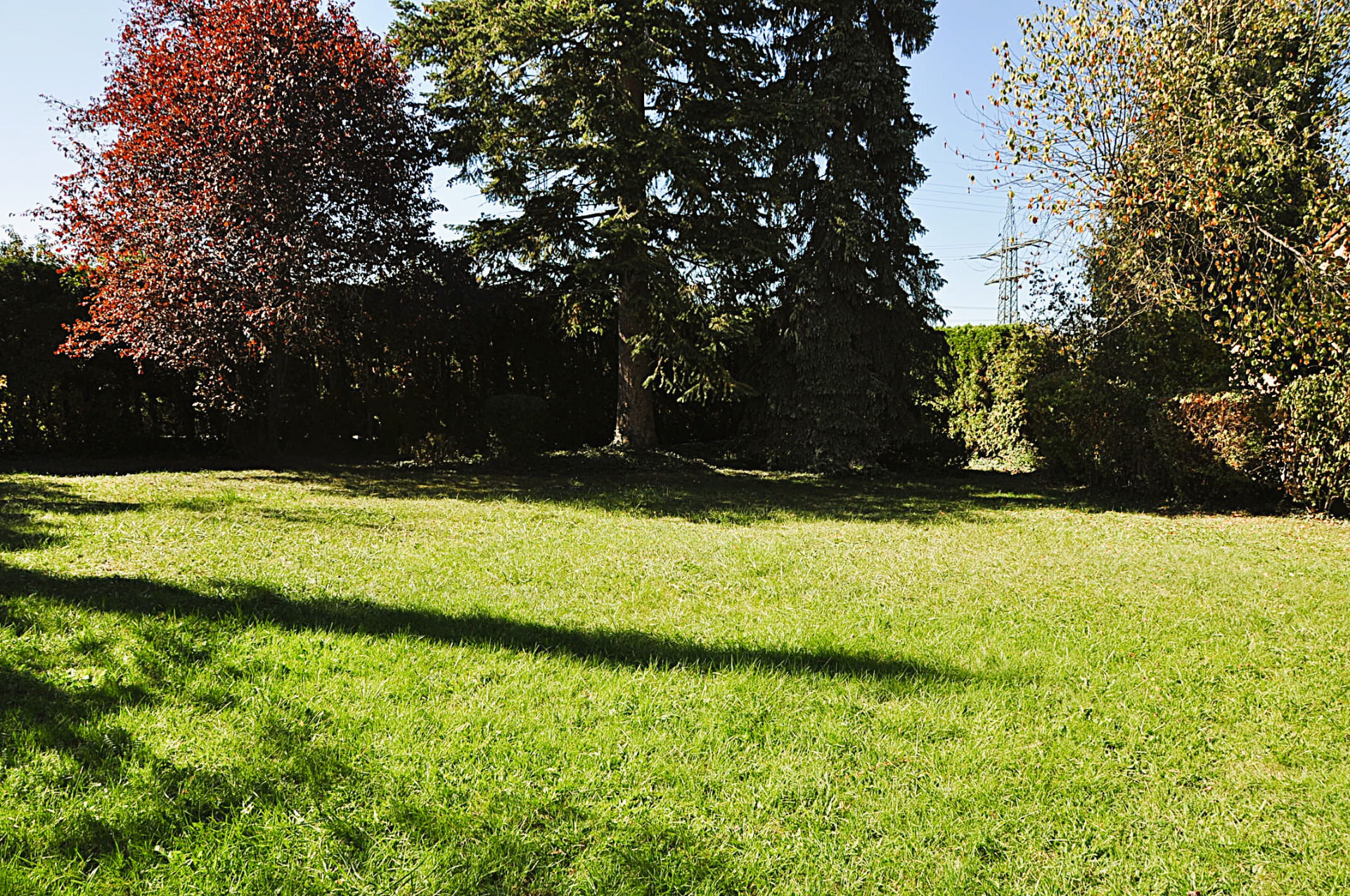 Small quiet park next to the building