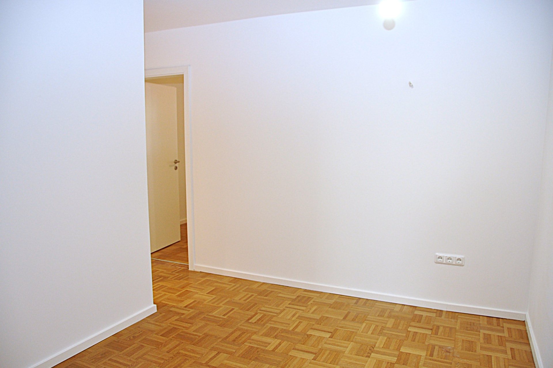 Hallway with parquet and new interior door